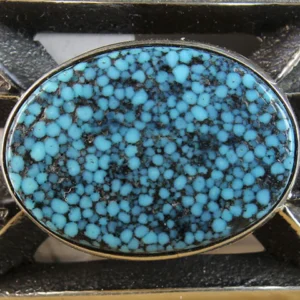 Read more about the article Turquoise Matrix Explained
